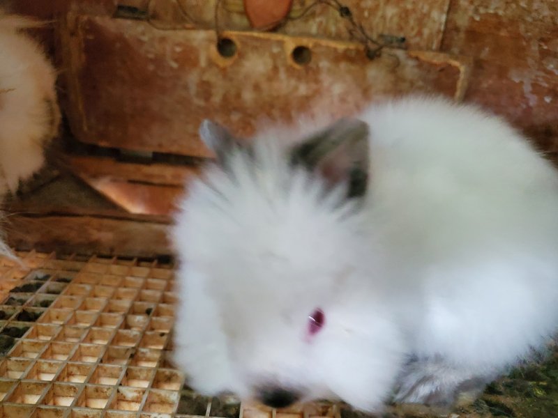 new baby2.jpg