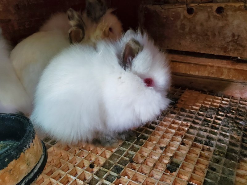 new baby3.jpg