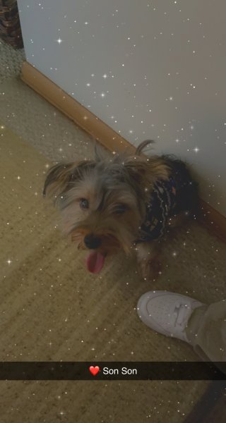 A4E5C3BA-6725-46BD-A7BA-1B57133C5F47.jpeg