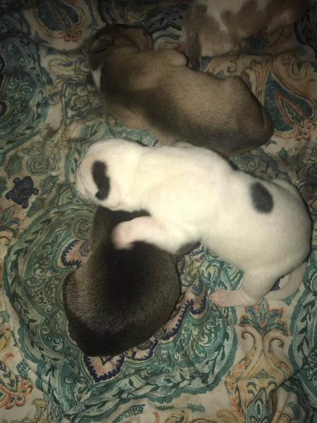 received_839159467031374.jpeg