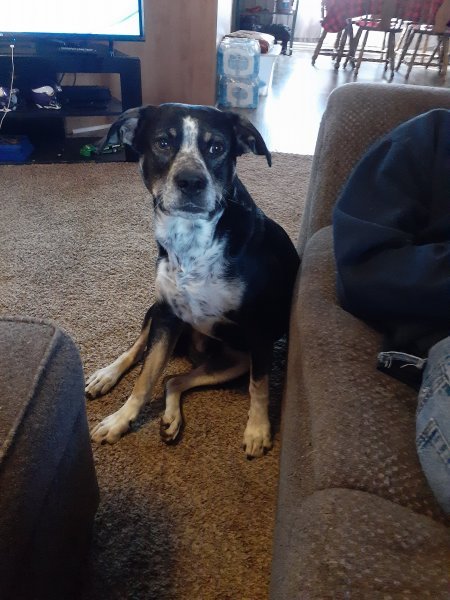 20201210_125902.jpg
