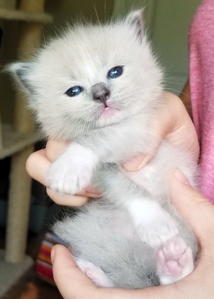 20190710_144957 e.jpg