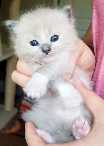 20190710_145003 e.jpg