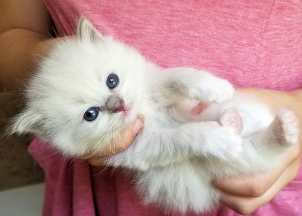 20190710_141950 E.jpg