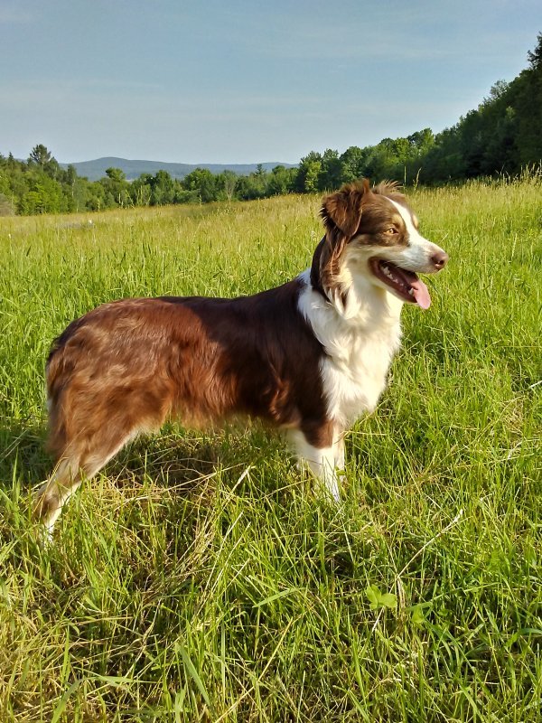 0705191735b_HDR.jpg