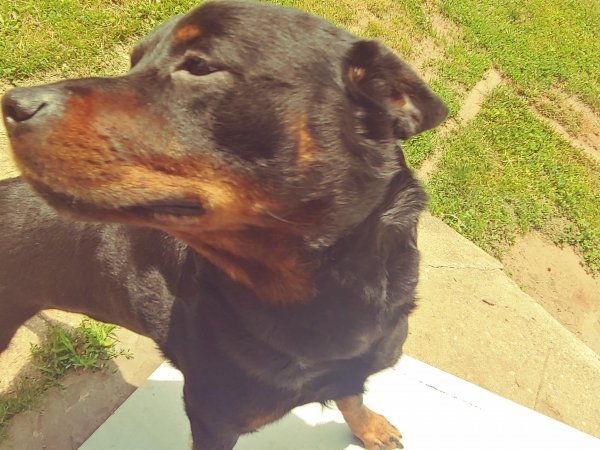 20210608_132149_HDR.jpg