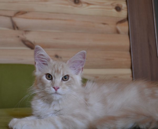 IMG-0790.JPG IMG-0790.JPG