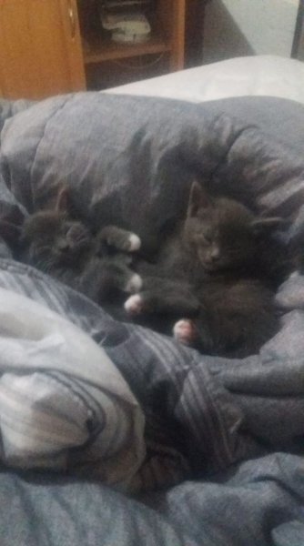 julykit5.jpg julykit5.jpg