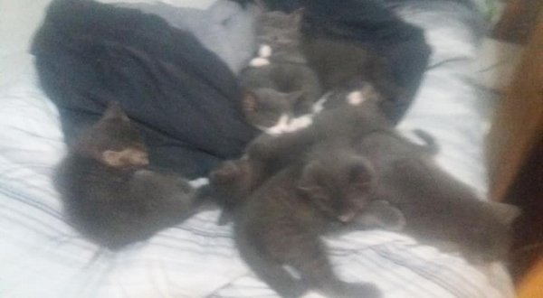 julykit4.jpg julykit4.jpg