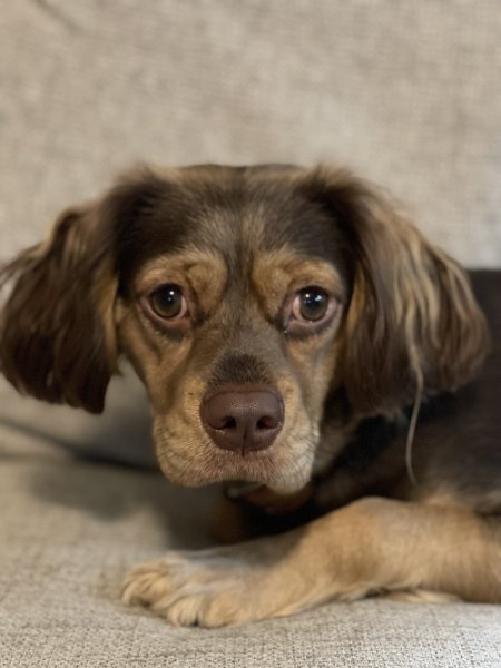 Tilly 2.jpg