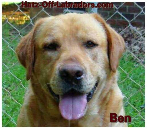 Ben.jpg