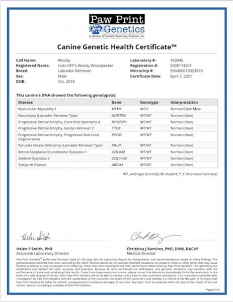 Woody Canine Genetic Health Certificate P2.jpg