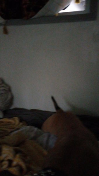 20210927_181306.jpg 20210927_181306.jpg