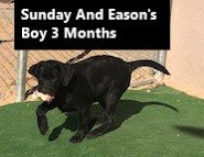 Boy Black 3 Months #3 - Copy.jpg