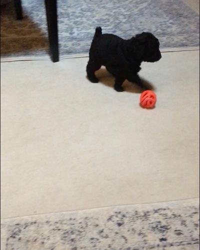 girl with ball.jpg girl with ball.jpg