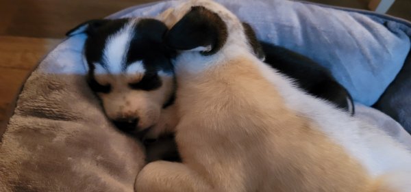 20211110_191416.jpg