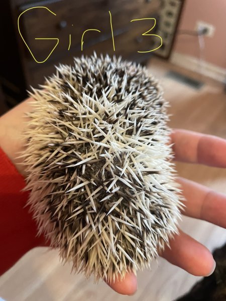 9CBFD39B-5499-46CF-A3D6-C83D49251A9E.jpeg