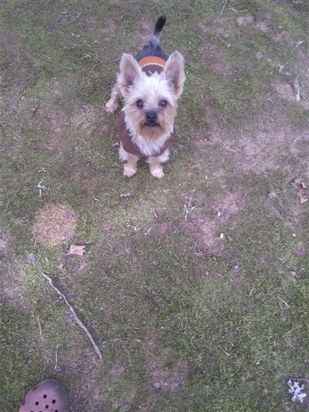 Brutus outside sept. (600 x 450).jpg