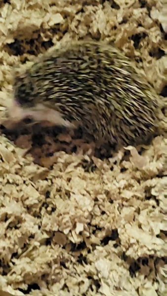 VideoCapture_20211202-101829.jpg