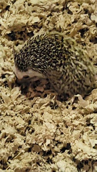 VideoCapture_20211202-101905.jpg