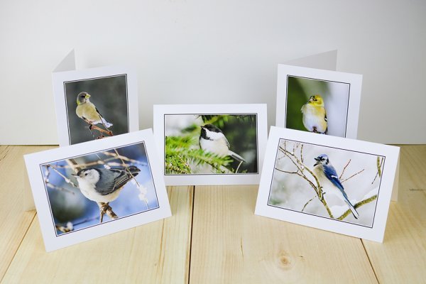 5-birds.jpg