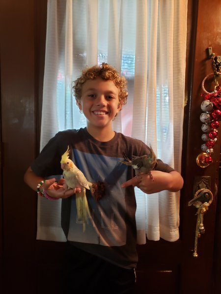 20211212_113603 Jayden with Birds 12 12 2021 .jpg 20211212_113603 Jayden with Birds 12 12 2021 .jpg