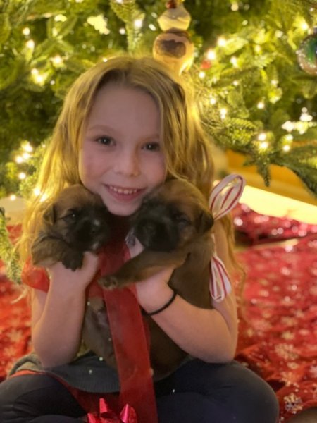 pup pic 6 dec 25 21.jpg pup pic 6 dec 25 21.jpg