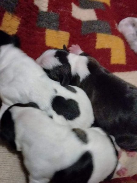 received_1630191950674809.jpeg