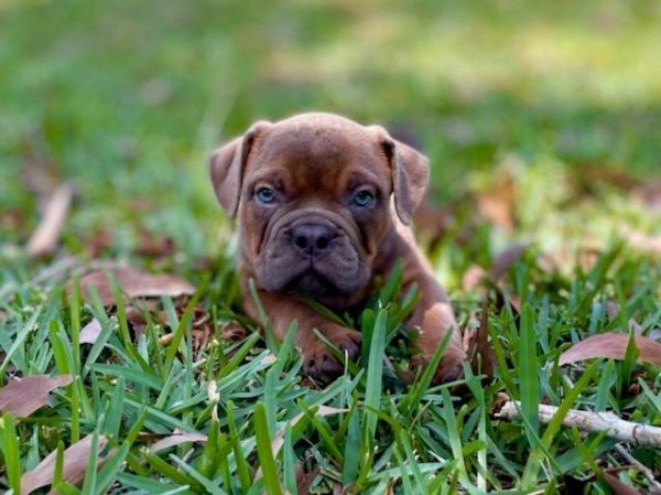 IMG_2160(1).jpg IMG_2160(1).jpg