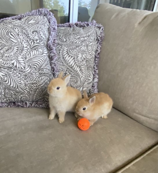 together.jpg