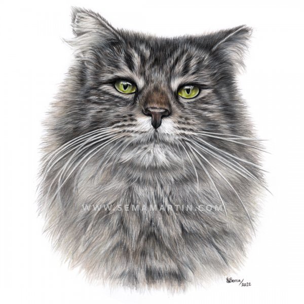 Final Portrait of Delightful.jpg