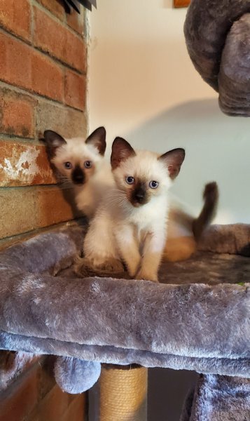 kits3.jpg
