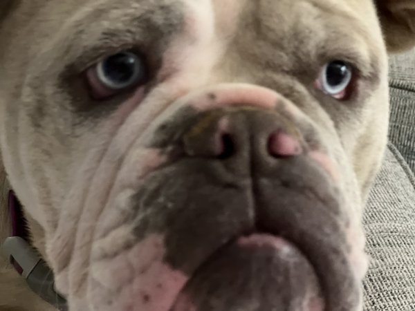 7821853F-8188-4DEE-A773-4F4DFEFD6F78.jpeg