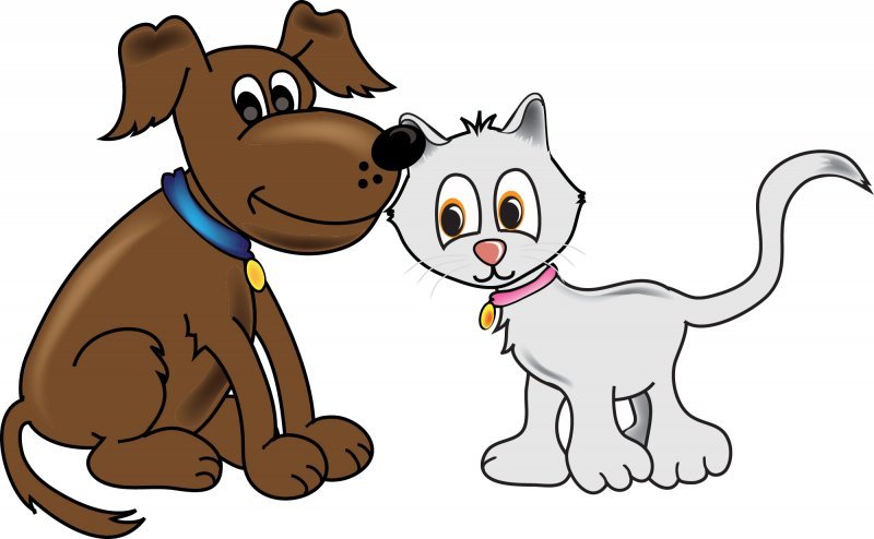 cat-dog.jpg cat-dog.jpg