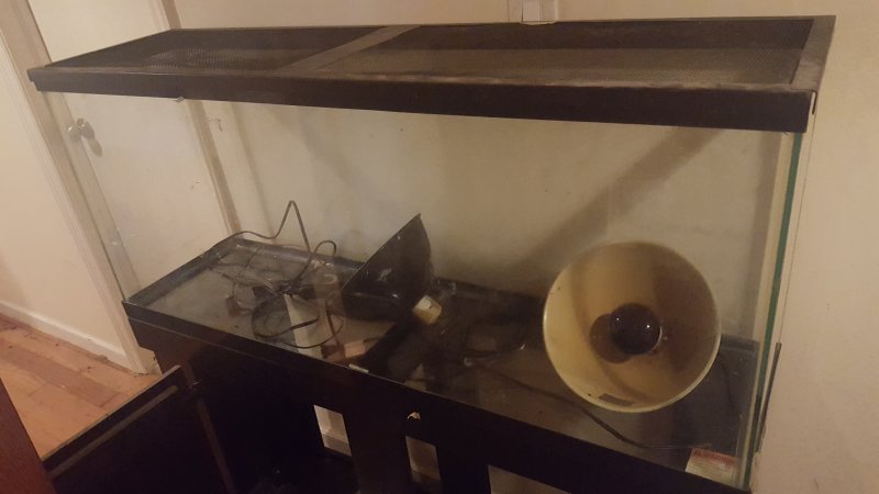 CameraZOOM-20190727194136286[1].jpg
