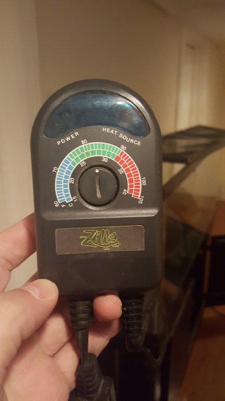 CameraZOOM-20190727194358323[1].jpg