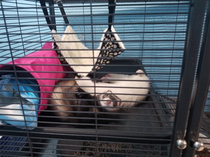20180713_150256.jpg 20180713_150256.jpg