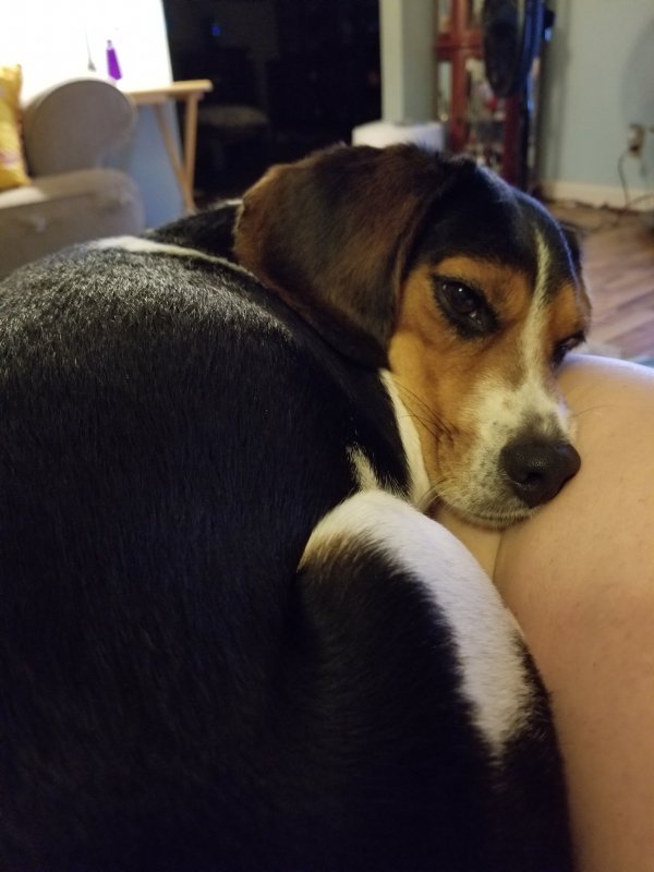 20190731_201143.jpg