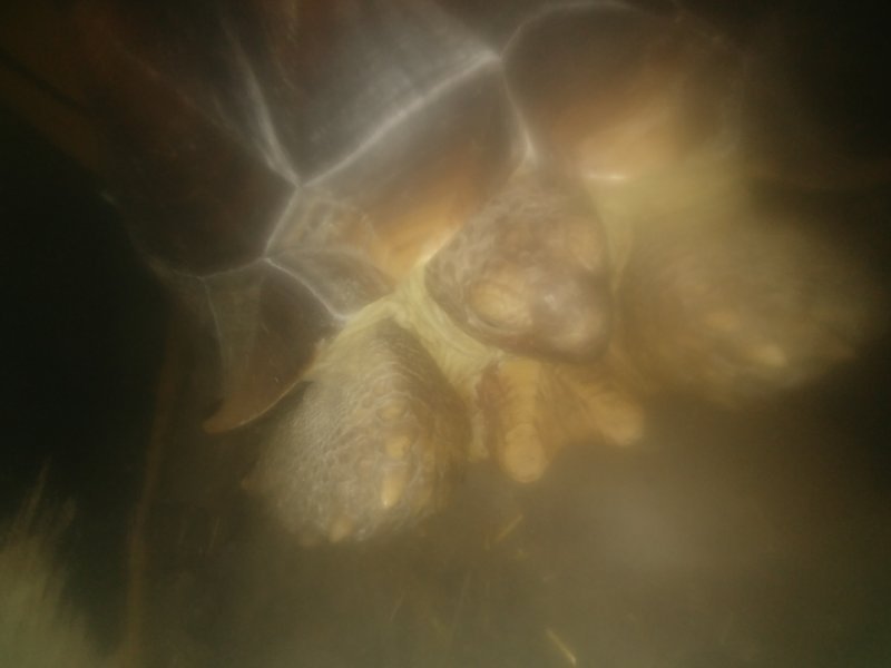 20190801_144917.jpg