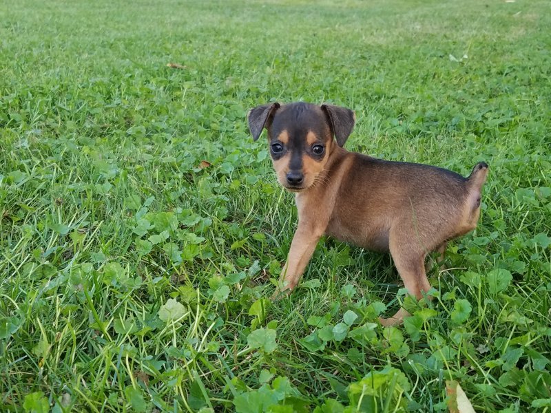20190731_201725.jpg