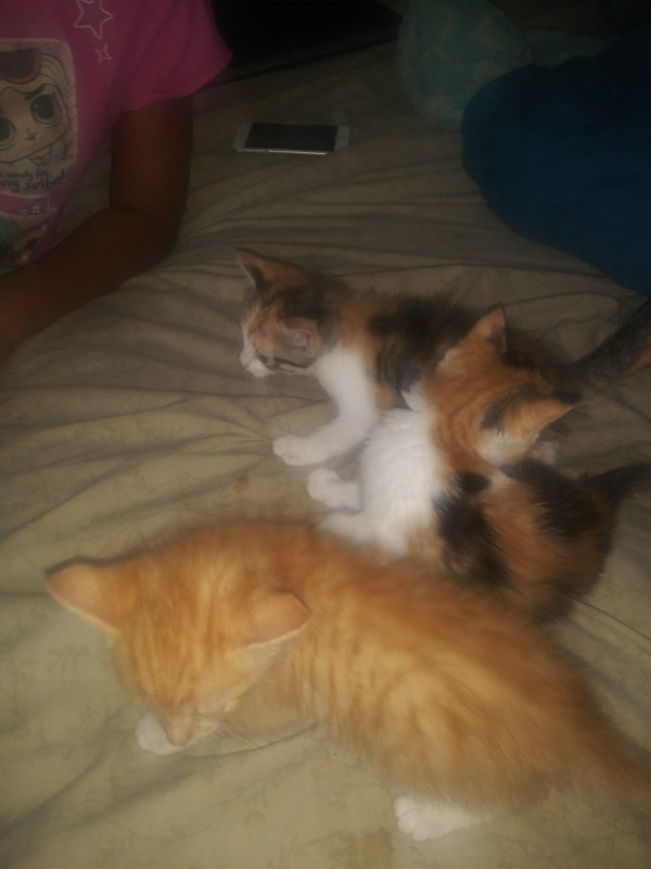 20190718_134343.jpg