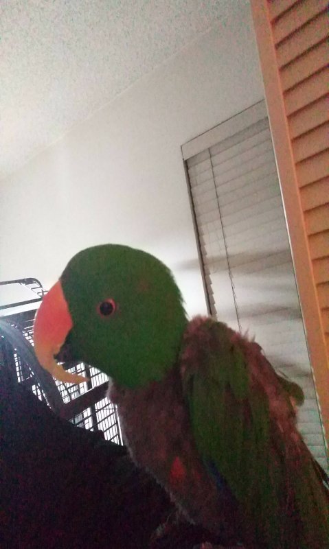 VZM.IMG_20190223_183907.jpg