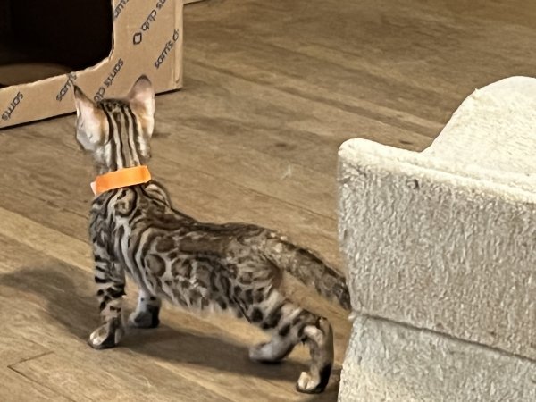 32790D62-0542-450E-AA6A-F2525085CD8F.jpeg