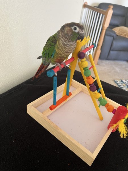 C8D9A0AF-0686-437D-A731-74A43D951DAC.jpeg