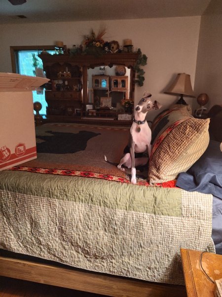 Binx 2022  2.jpg