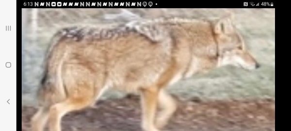 Screenshot_20220515-181359_Facebook.jpg