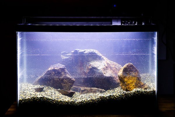 10-gallon-aquarium-hardscape.jpg