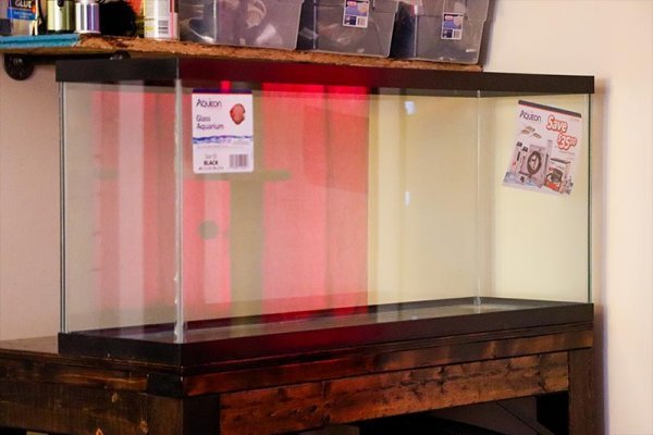 55-gallon-aquarium.jpg