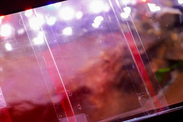 taped-glass-fish-tank-lid.jpg
