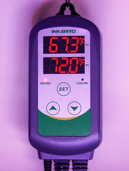 inkbird-itc-308s-aquarium-temperature-controller.jpg